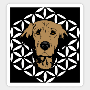 Golden retriever flower of life Sticker